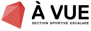 Section sportive escalade logo
