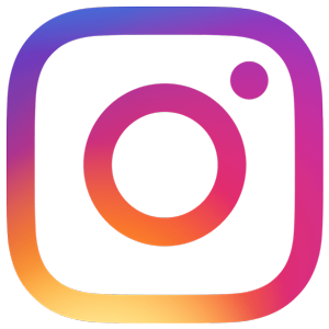 logo instagram lycee